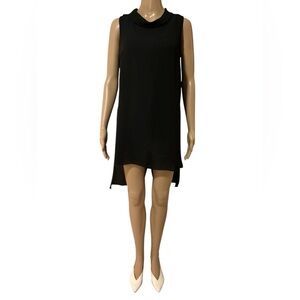 Elegant Black sheer Sleeveless Dress